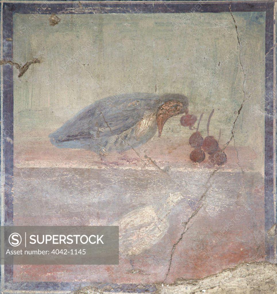 Stock Photo: 4042-1145 Fresco of Partridge eating crabapples, Italy, Naples, Herculaneum, House of the Grand Portal