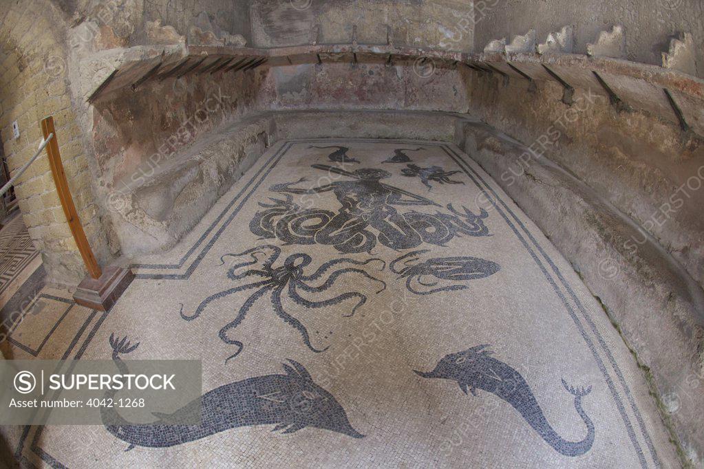 Stock Photo: 4042-1268 Italy, Campania, Bay of Naples, Neapolitan Riviera, floor of tepidarium in Roman central baths, mosaic depicting Triton surrounded by dolphins