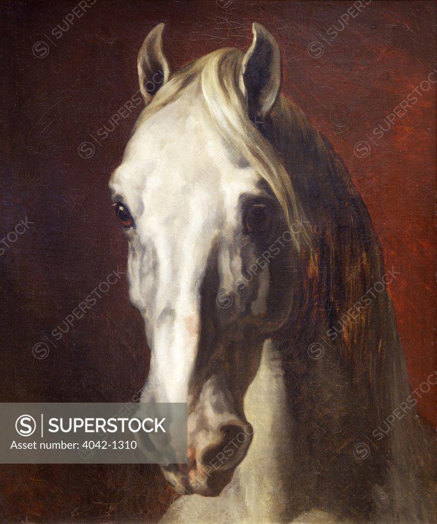 Stock Photo: 4042-1310 Head of a White Horse by Theodore Gericault, France, Paris, Musee du Louvre