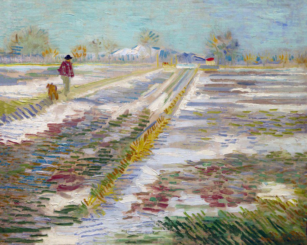 Landscape with Snow, by Vincent van Gogh, 1888, Solomon R. Guggenheim Museum, Manhattan, New York City, USA, North America