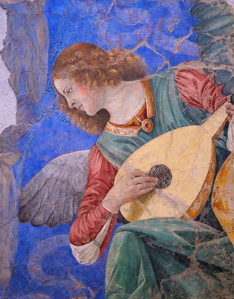Music-Making Angel, by Melozzo da Forli, circa 1480, Pinacoteca, Vatican Museums, Rome, Italy,