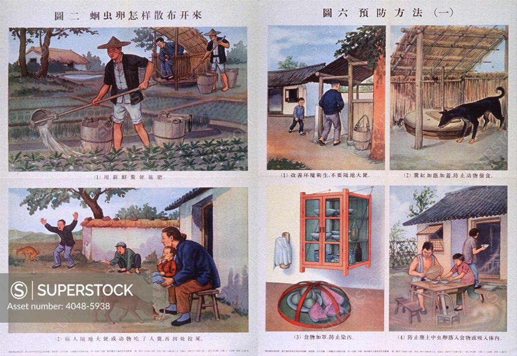Stock Photo: 4048-5938 Public health education in Red China. Two posters contrast bad hygiene (at left), with good practices (at right), in an attempt to educate China's rural population. Unhygienic practices include growing plants close to a latrine, human and animal waste in the yard. Hygienic practices include a latrine away from house, covered latrine, covered food, and brushing flies away. 1957.