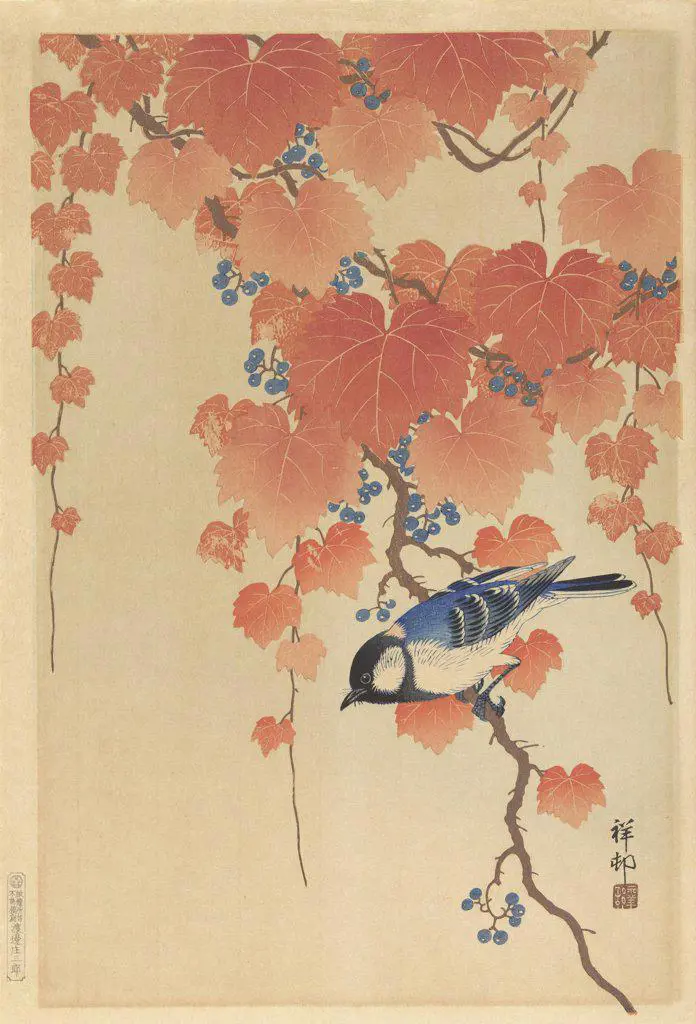 Great Tit on Paulownia Branch, by Ohara Koson, 1925-36, Japanese print, color woodcut (BSLOC_2016_3_290)