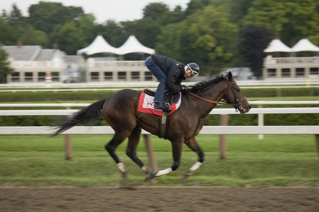 Kentucky Derby winner Street Sense and jockey Calvin Borel, working out before winning the Travers Stakes, Saratoga Springs, New York 2007