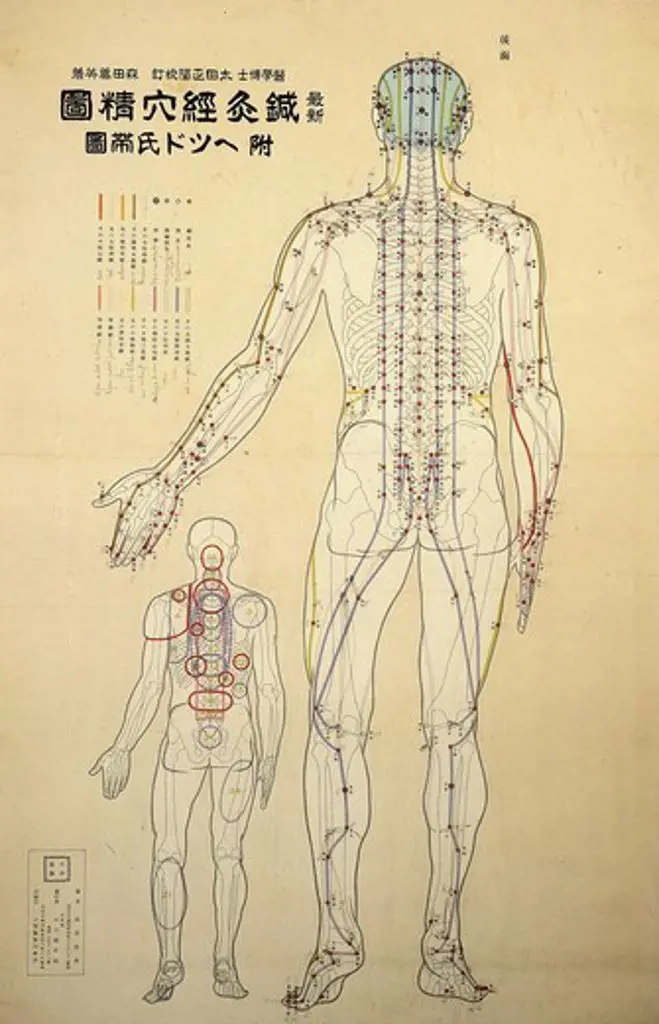 Acupuncture points and meridians of human body (back view), engraving from modern edition of the Nei Tsing, earliest known manual of medicine, published 1000 AD by Chinese Emperor Hoang Ti