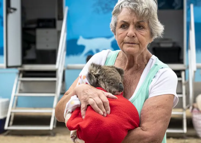 Wildlife rescuer and carer Lorna King leaves the mobile wildlife triage centre at Bairnsdale holding here male koala (Phascolarctos cinereus) named ?River'. River was brought in for a health check during the bushfires in December 2019. He suffered one small burn under his chin that was healing well. Bairnsdale, Victoria, Australia. January 2020. Editorial use only.