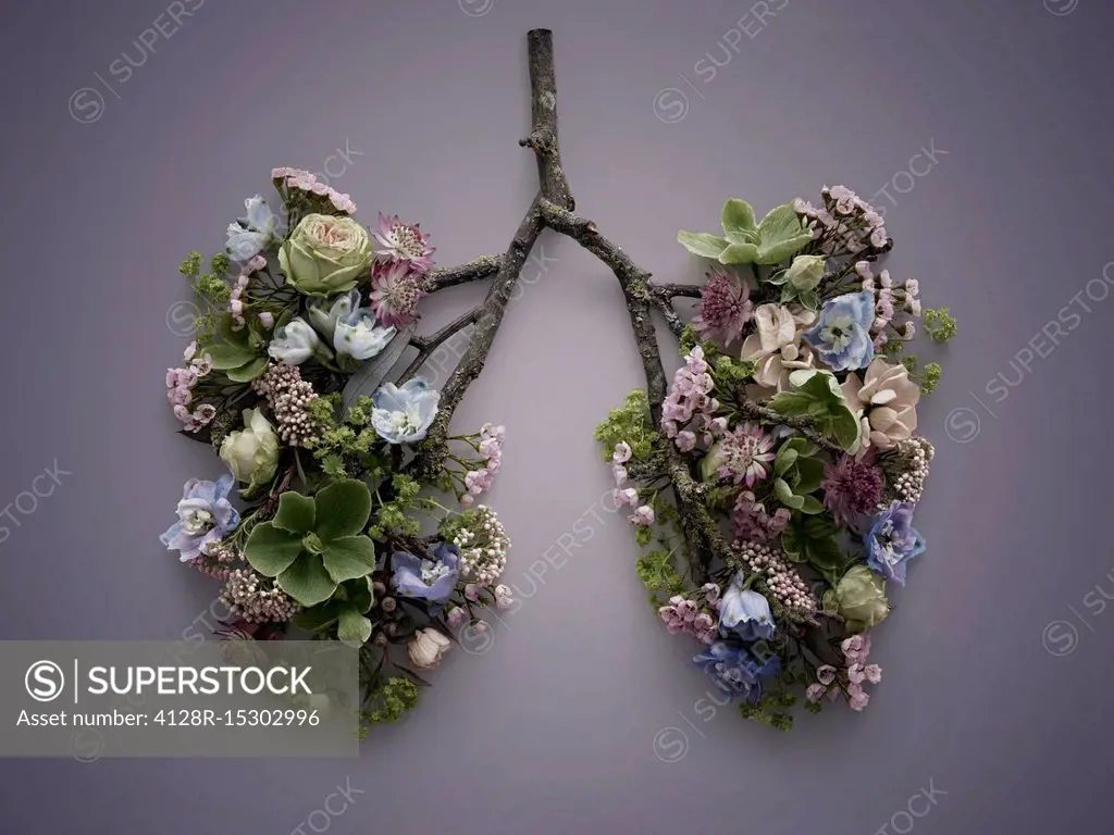 Spring flowers representing human lungs