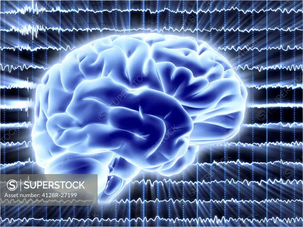 Brain activity. Computer artwork of EEG (electroencephalogram) traces ...