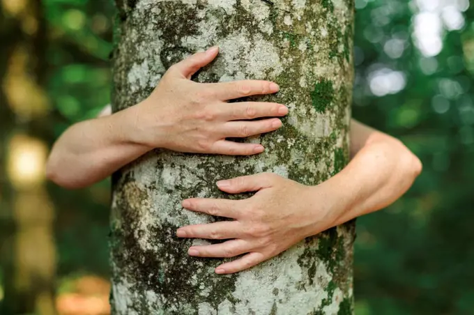 Environmentalist hugging tree