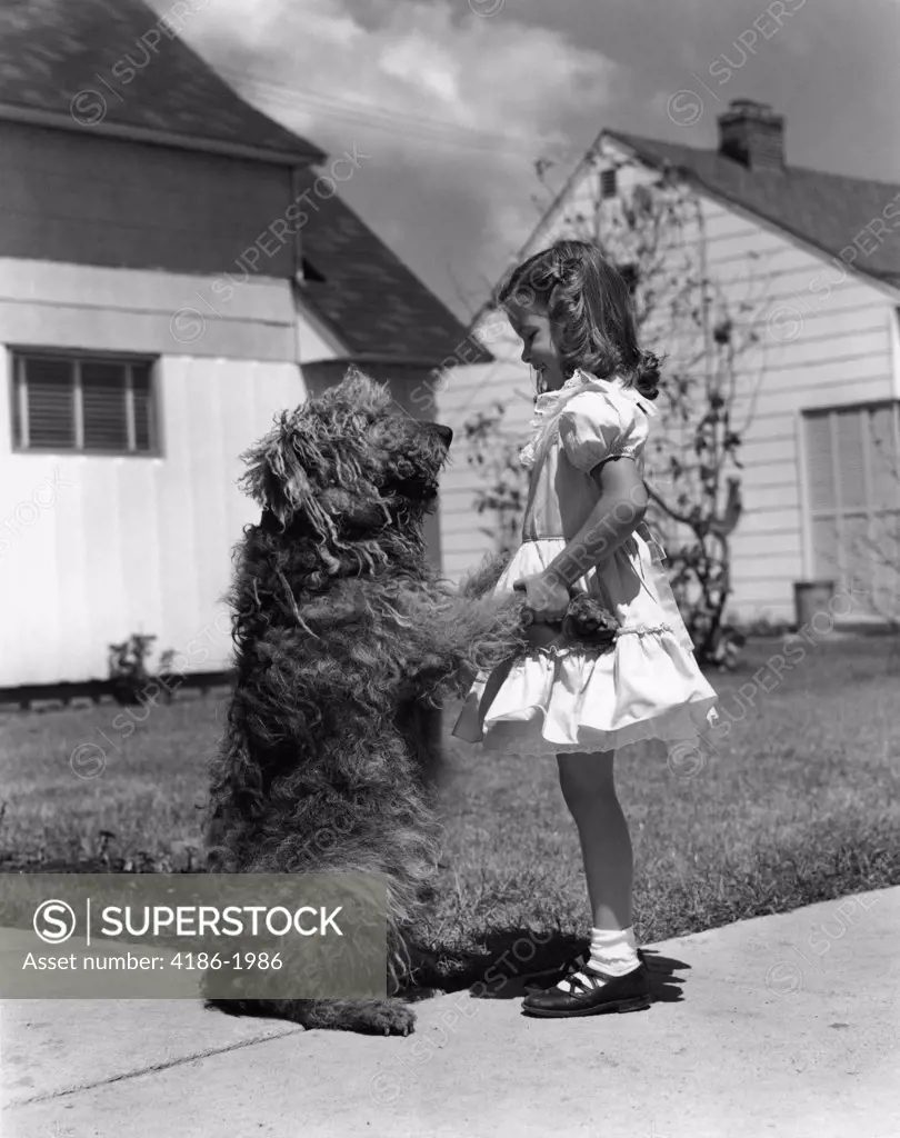 1950S Girl On Suburban Sidewalk Holding Paws Of Shaggy Dog
