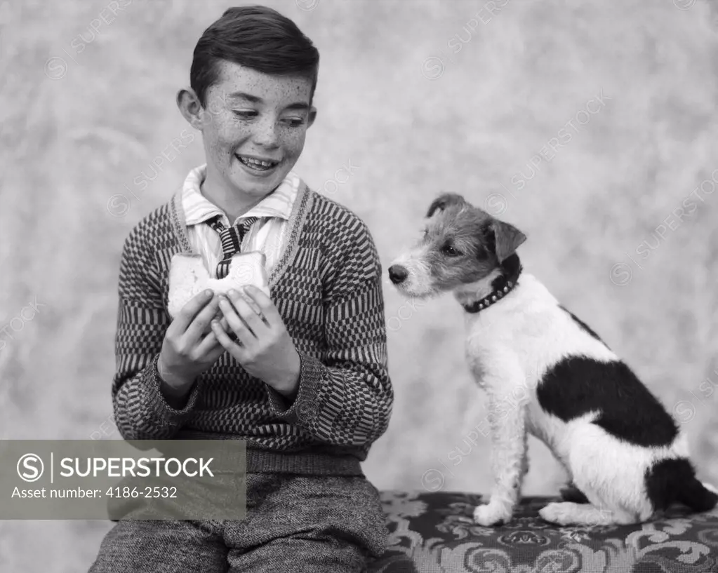 1920S 1930S Boy Eating Sandwich As Dog Stares At Food