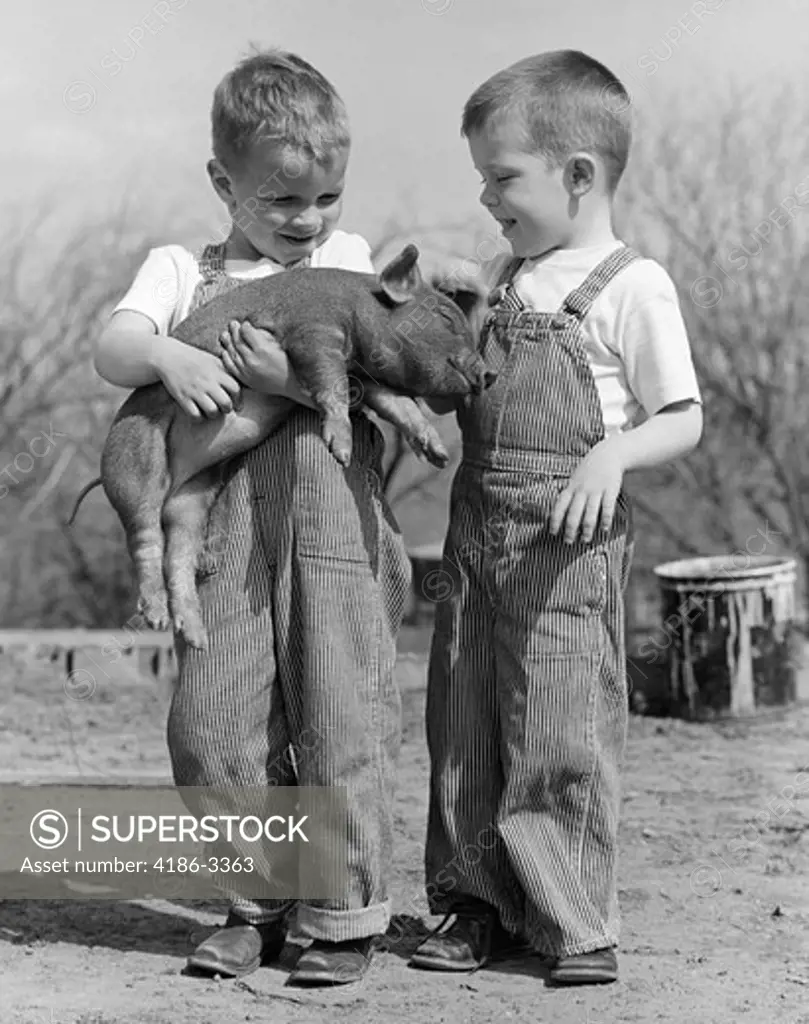 1950S Boys In Striped Overalls Holding Piglet
