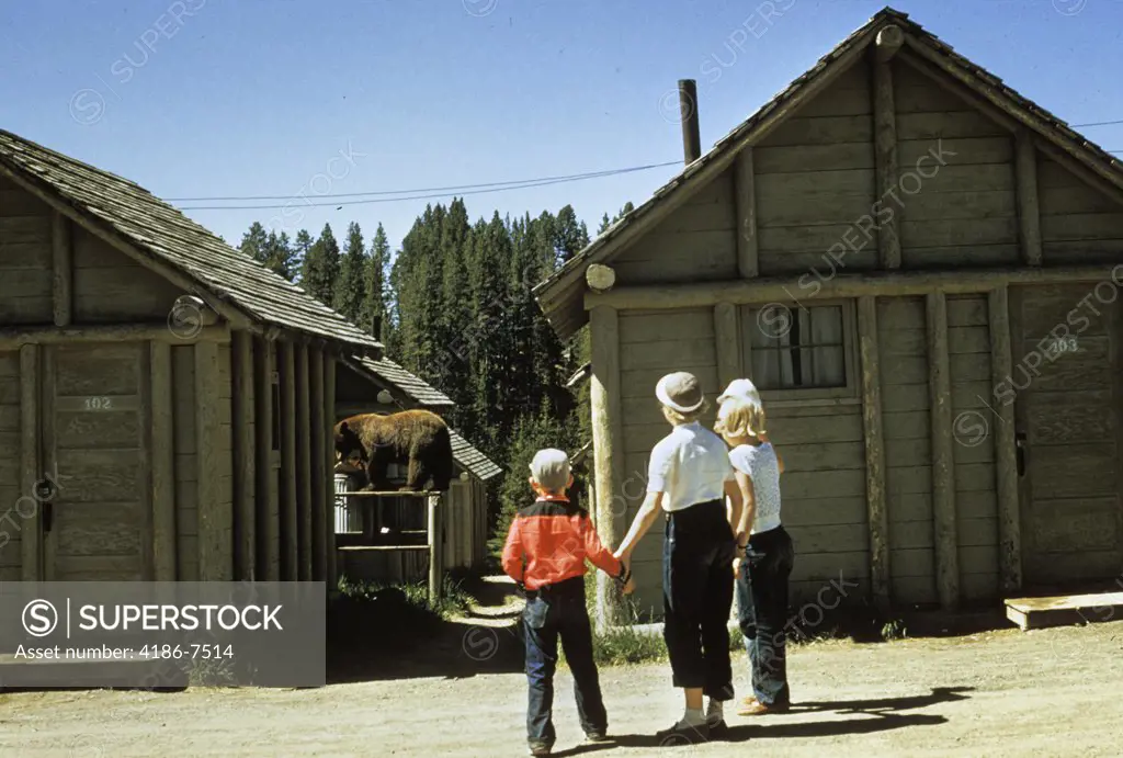 1950S Mother And Children Visiting Yellowstone National Park Wyoming 1956, Looking At Bear Behind Cabins
