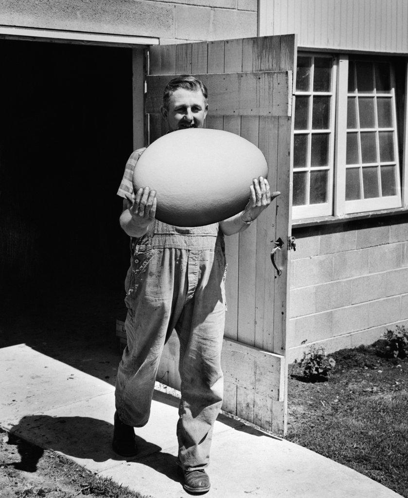 1950s MAN IN OVERALLS WALKING OUT OF BARN CARRYING MASSIVE EGG