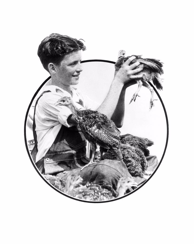 1930S Boy Holding Up Turkey Surrounded By Turkeys