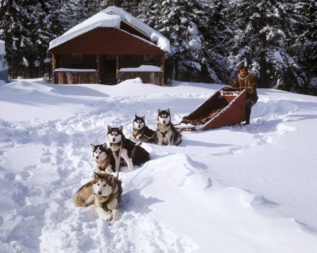 1970s MAN A MUSHER CARGO DOG SLED 5 HUSKIES DOGS TEAM READY WAITING TO GO IN WINTER SNOW SKI CHALET BUILDING IN BACKGROUND
