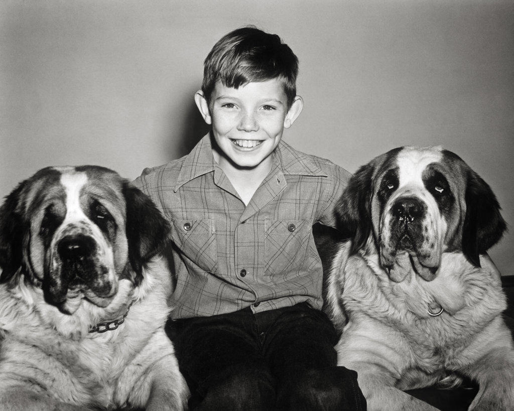 1940s 1950s SMILING BOY SITTING LOOKING AT CAMERA WITH TWO ST. BERNARD DOGS 