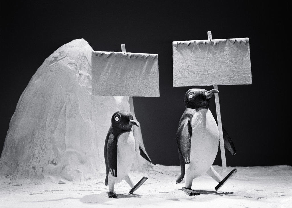 1930s TWO PENGUIN FIGURES MARCHING WITH BLANK EMPTY PLACARDS PROTEST SIGNS
