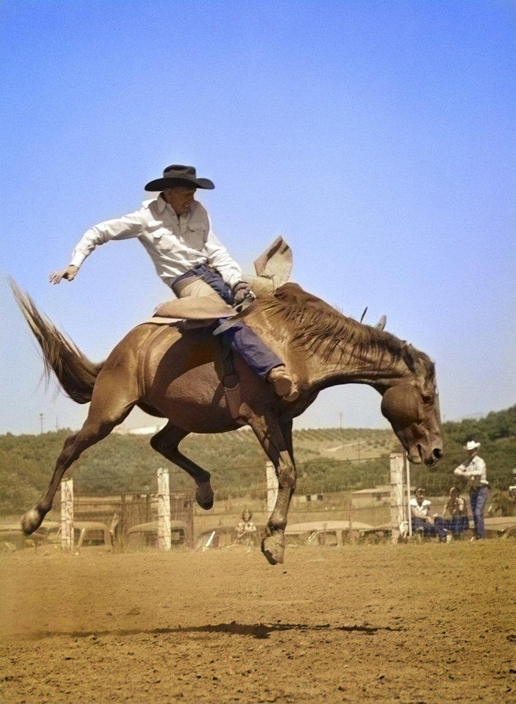1950s COWBOY RIDING A BUCKING HORSE BAREBACK ON A WESTERN RANCH USA