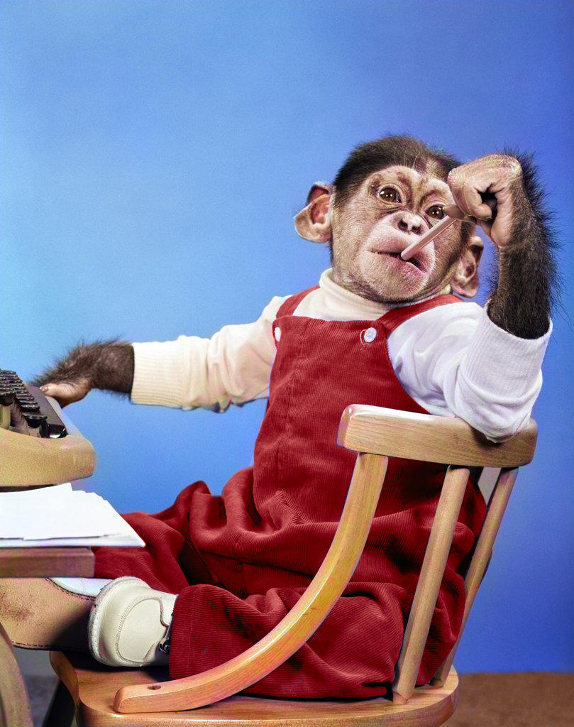 1950s CHIMPANZEE IN OVERALLS SITTING IN CHAIR AT TYPEWRITER PUTTING PENCIL ERASER IN MOUTH