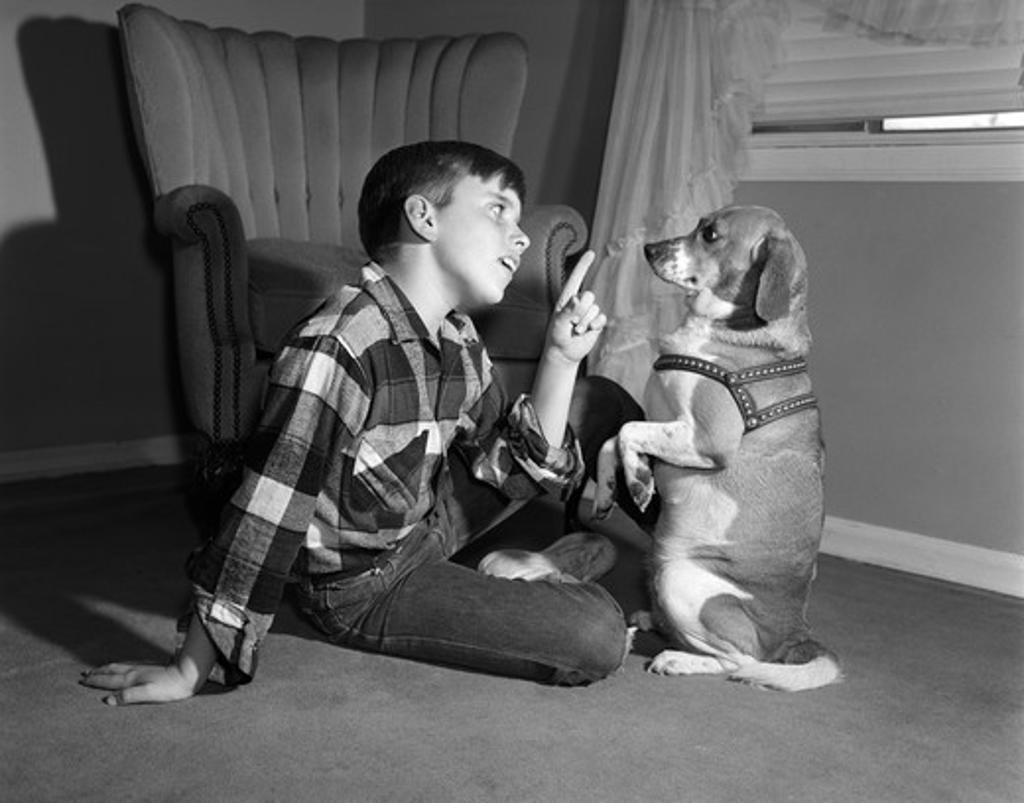 1950S Boy In Plaid Shirt Shaking Finger At Dog Sitting Up On Rear Legs