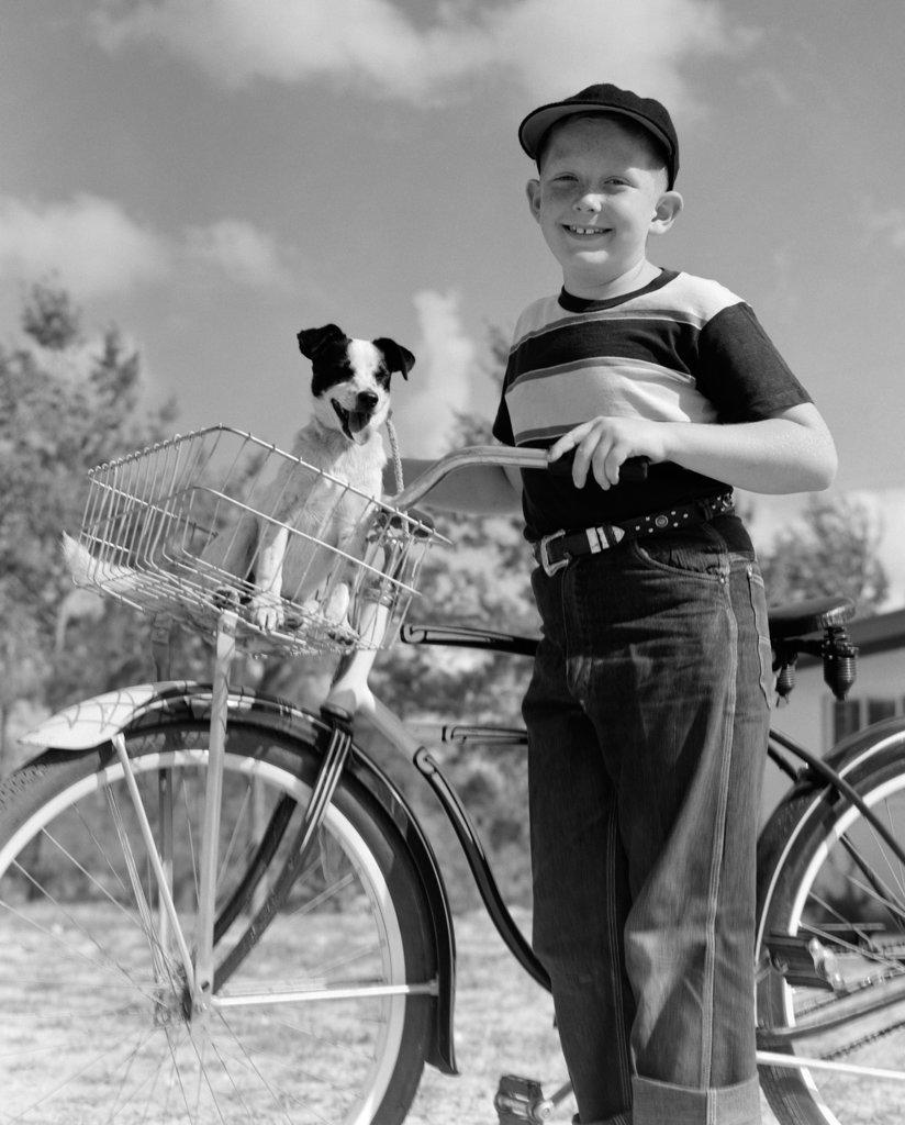 1950S Boy On Bike With Puppy In Basket