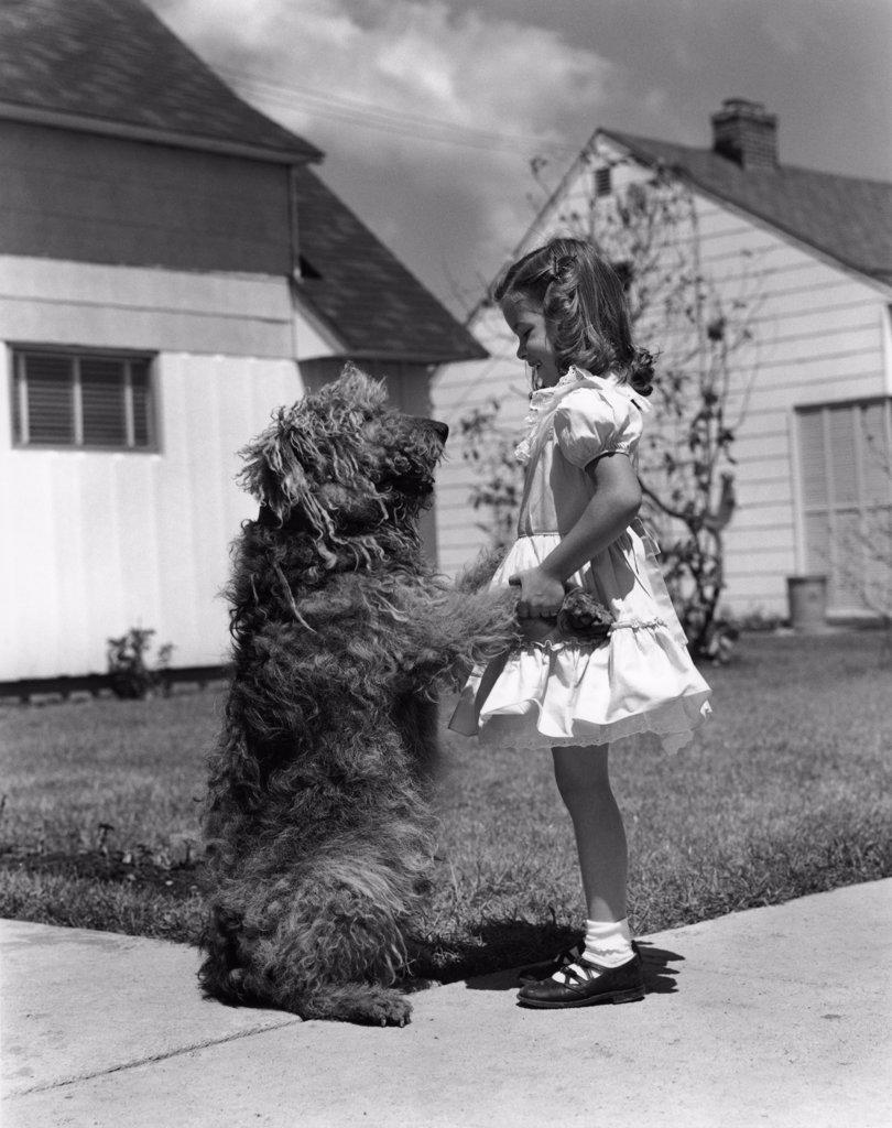 1950S Girl On Suburban Sidewalk Holding Paws Of Shaggy Dog