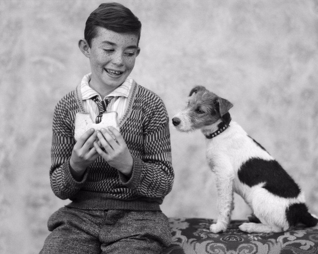 1920S 1930S Boy Eating Sandwich As Dog Stares At Food