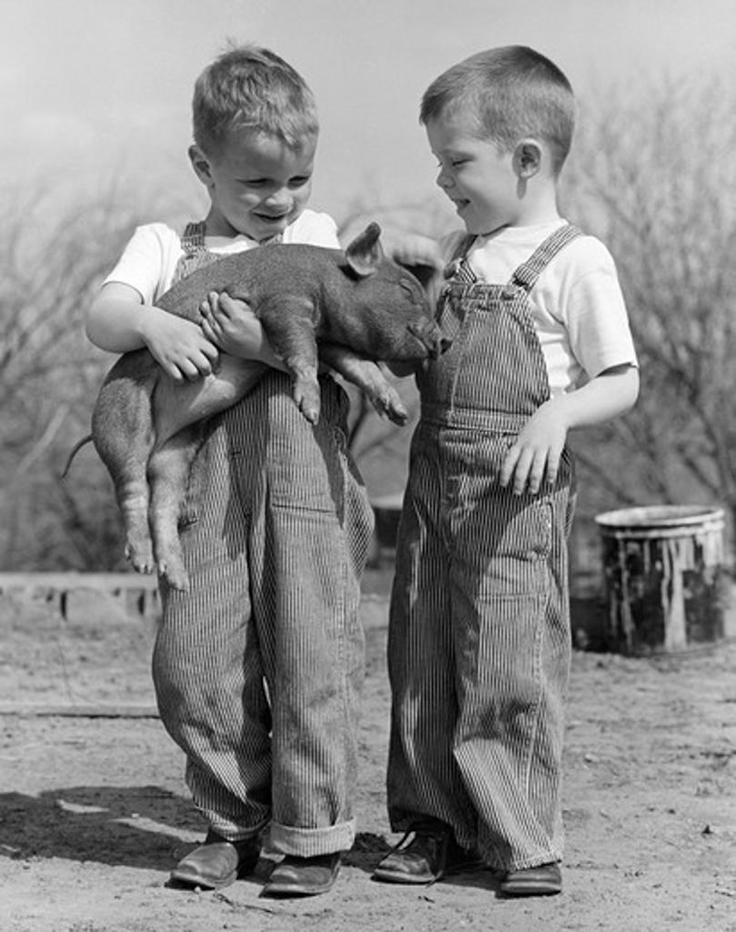 1950S Boys In Striped Overalls Holding Piglet