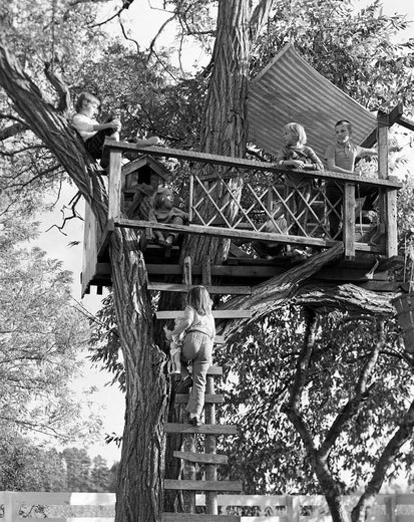 1960S Kids Playing In Tree House