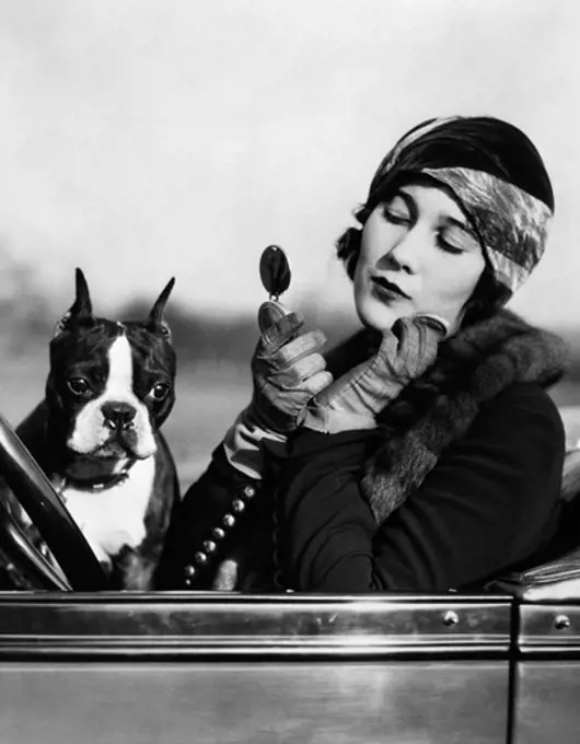 1920S Flapper In Convertible Powdering Her Cheek In Mirror With Boston Bulldog In Her Lap