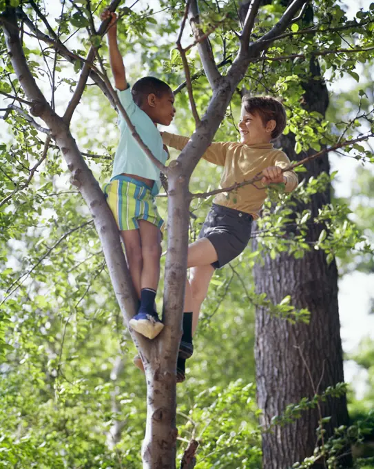 1960s 1970s FRIENDS TWO ENERGETIC ATHLETIC BOYS ONE AFRICAN-AMERICAN AND ONE CAUCASIAN CLIMBING A TREE TOGETHER