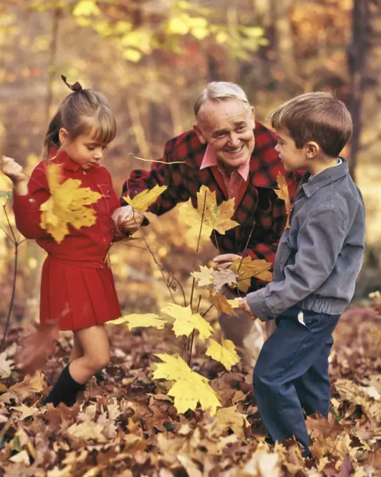 1970s 1980s GRANDFATHER PLAYING IN AUTUMN LEAVES WITH BOY AND GIRL
