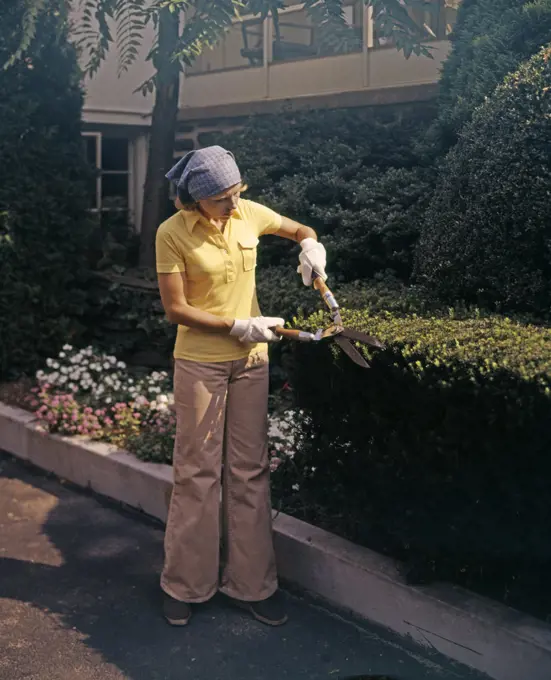 1970S Woman Using Garden Clippers Trimming Boxwood Hedge Wearing Bellbottoms
