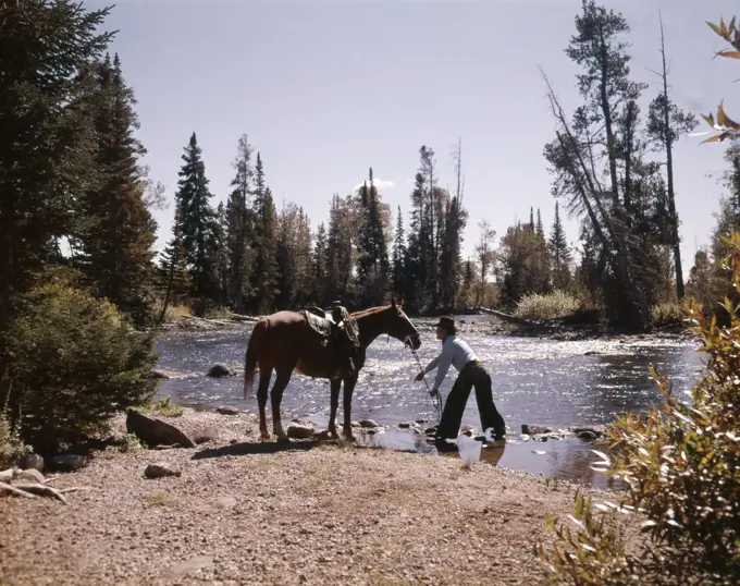 1970S Cowboy Standing In Stream Leading Horse By Reins To Water