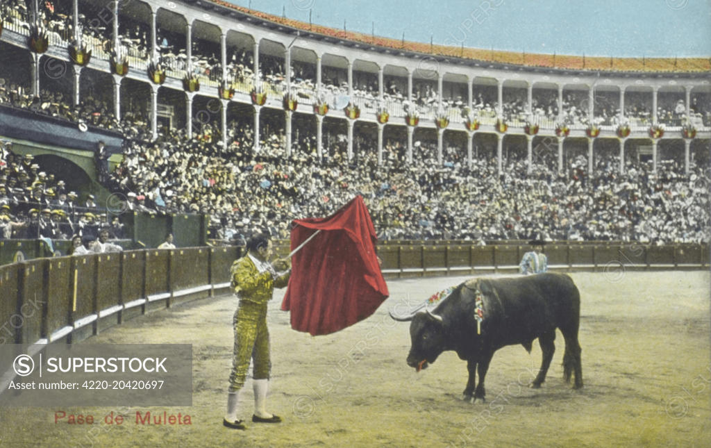 Spanish Bullfighting Series The Pass Crutch Tempting The Bull With His Red Cape The Matador Tires The Beast Date 1913 Stock Photo 42 4697 Superstock