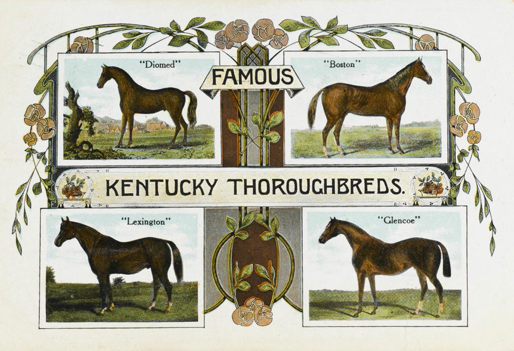 Four famous Kentucky Thoroughbreds: 'Diomed', 'Boston', 'Lexington' and 'Glencoe'   Date: 1910