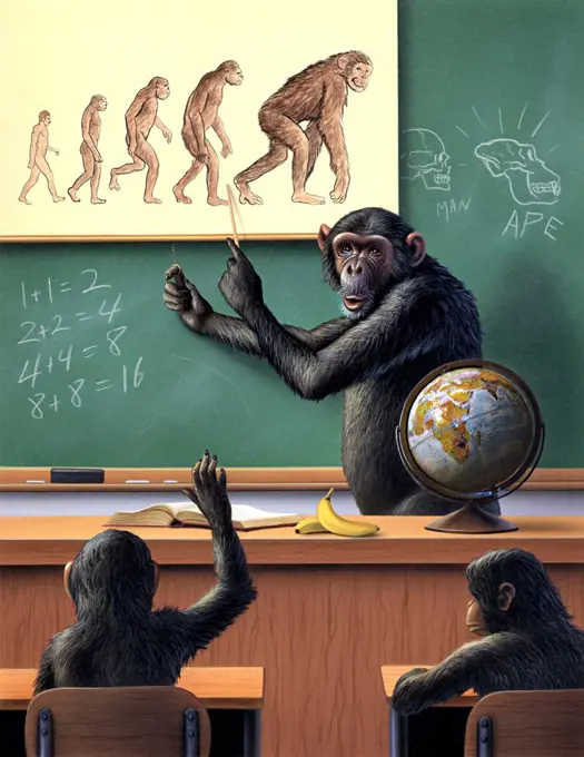 A humorous view of the reverse evolution of man.