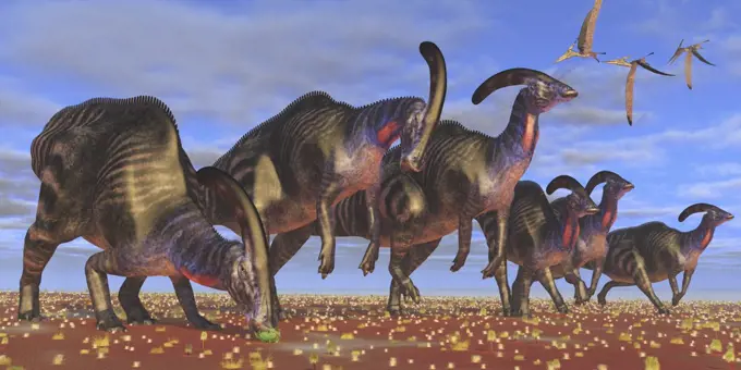 A flock of Pteranodon longiceps fly over a herd of Parasaurolophus dinosaurs as they look for better vegetation to eat.
