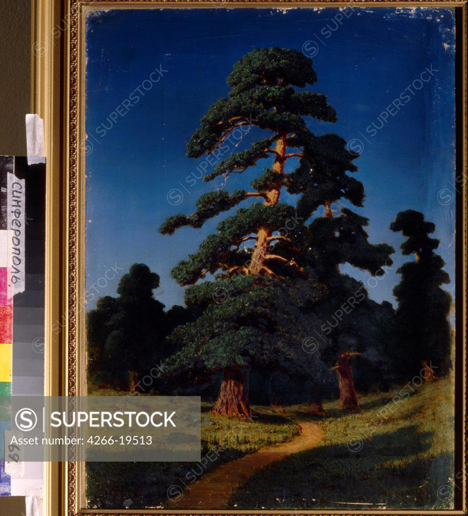Stock Photo: 4266-19513 Pine Tree by Kuindzhi, Arkhip Ivanovich (1842-1910)/ Regional Art Museum, Simferopol/ Russia/ Oil on canvas/ Realism/ 54x41/ Landscape