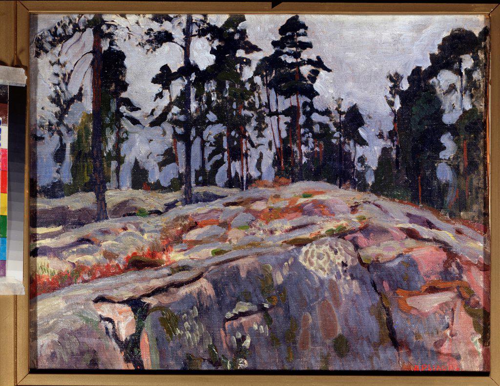 Finland by Rylov, Arkadi Alexandrovich (1870-1939)/ State Art Museum of Republic Karelia, Petrosavodsk/ 1908/ Russia/ Oil on canvas/ Russian Painting, End of 19th - Early 20th cen./ 39x48/ Landscape