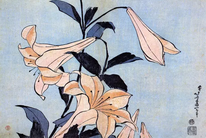 Lily flower by Katsushika Hokusai, color woodcut, circa 1830, 1760-1849, Russia, Moscow, State A. Pushkin Museum of Fine Arts