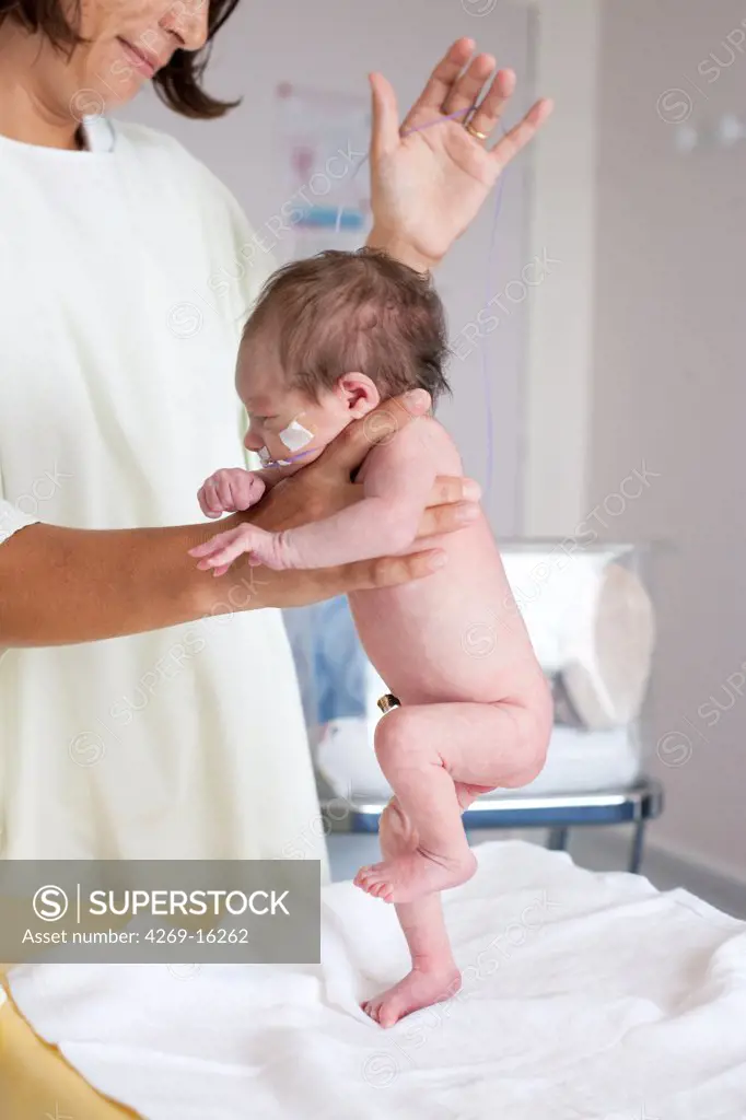 selecteer uitsterven betekenis Pediatrician examining a premature newborn baby (stepping or walking  reflex). Obstetrics and gynaecology department, Saintonges hospital,  Saintes, France. - SuperStock