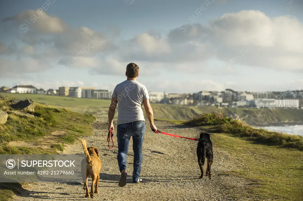 A dog walker and his two dogs walk along The Headland in Newquay in Cornwall.