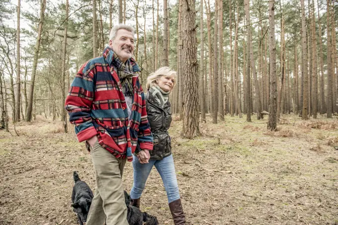 Senior couple enjoying a walk in the woods with their dogs.