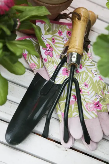 Garden tools, close-up.