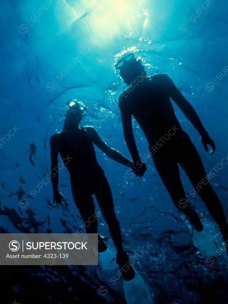 Silhouette of a Man and Woman Snorkeling
