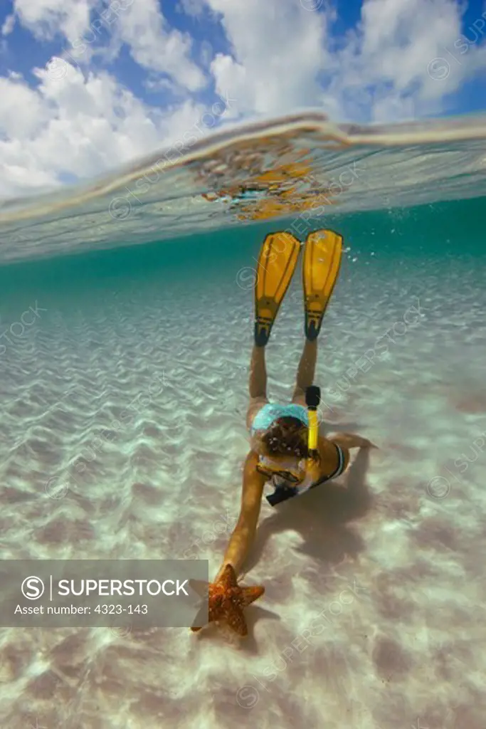 Split View of Snorkeler With Starfish and the Sky