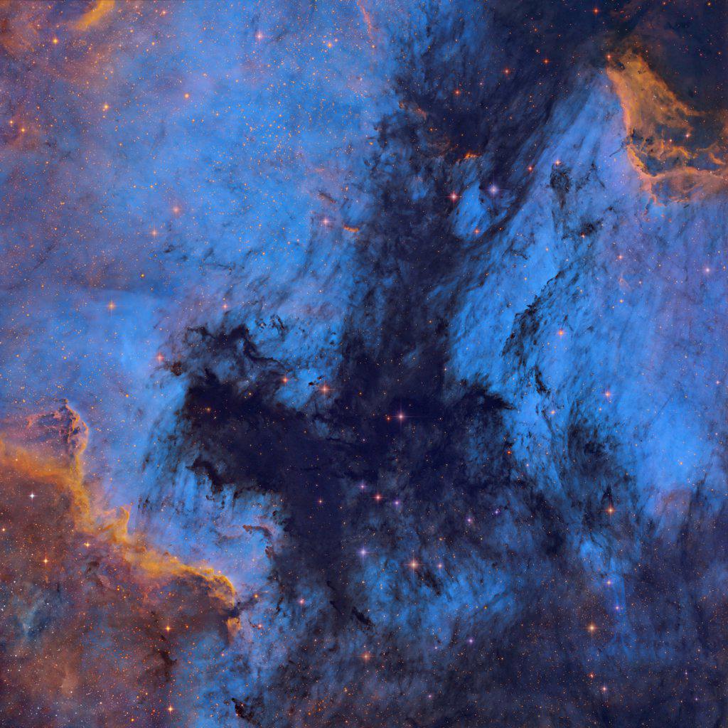 The Dark River is a huge dark nebula in the constellation Cygnus seperating the North American and the Pelican Nebulas. This image combines narrow wavelength light with white light to create the color and detail exhibited. Image made with a Takahashi TOA 130 telescope and an SBIG STX 16803 CCD camera. Taken from Foresthill, CA.