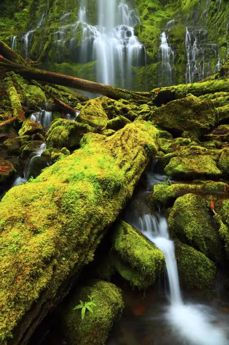 Proxy Falls in the Three Sisters Wilderness in the Willamette National Forest in Oregon